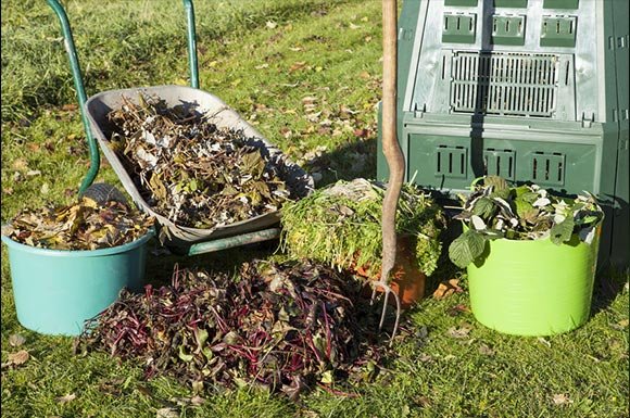 Professionnel pour le débarras de déchets verts après une taille de haies à Digoin