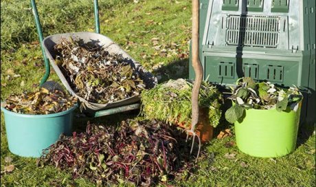 Professionnel pour le débarras de déchets verts après une taille de haies à Digoin